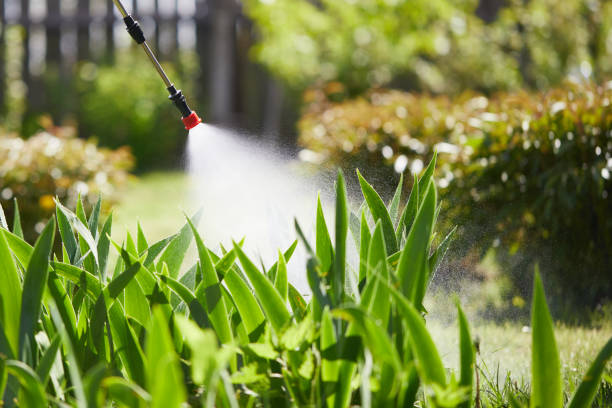 24/7 Emergency Mosquito Control experts in Waynesville, OH